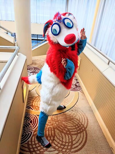 Bomb Pop Pup Kigusuit