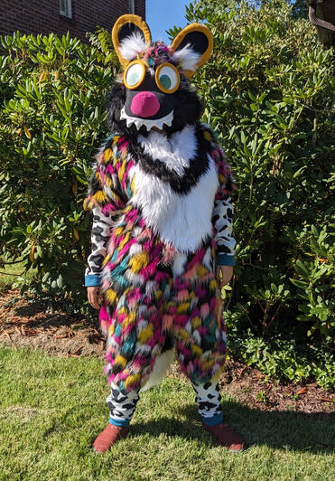 African Wild Dog Kigusuit