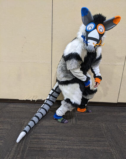 Portal Opossum Kigusuit